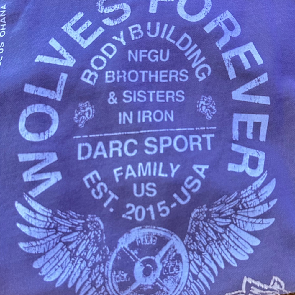 Darc Sport Mauve Graphic Hoodie - Picture 4 of 8